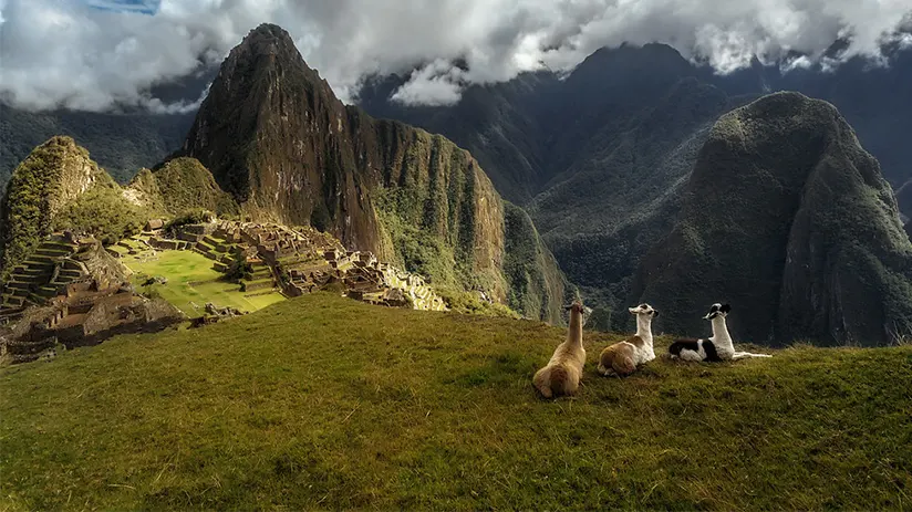 Things to do in Machu Picchu
