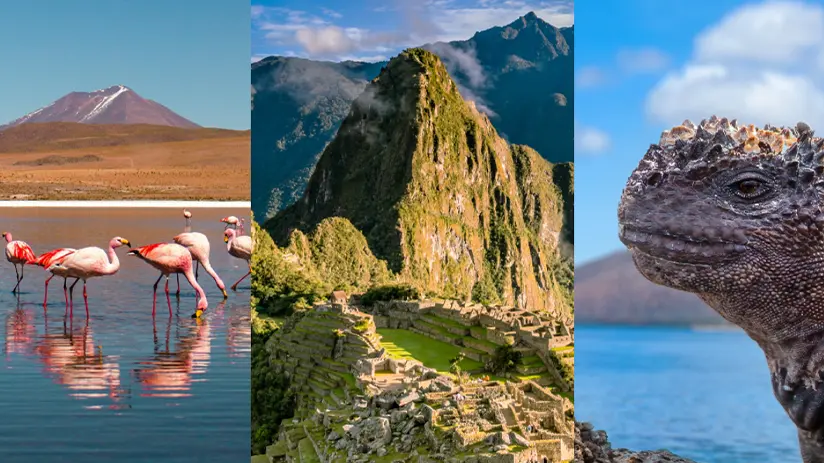 Uyuni, Machu Picchu & Galapagos