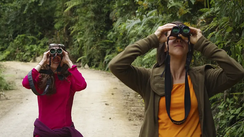 Best time for watching wildlife in Peru