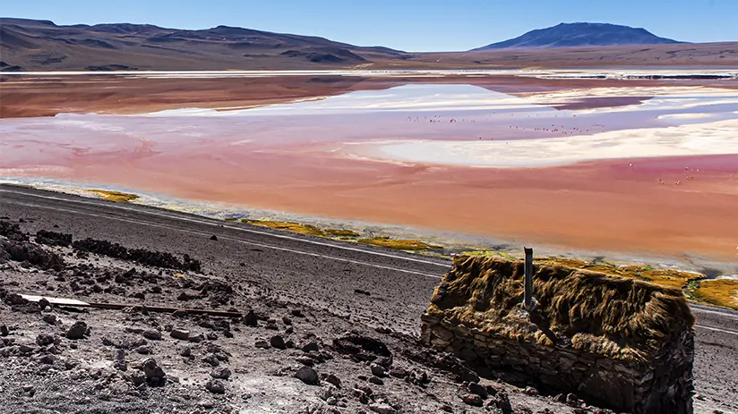 Colored Lagoon dry season