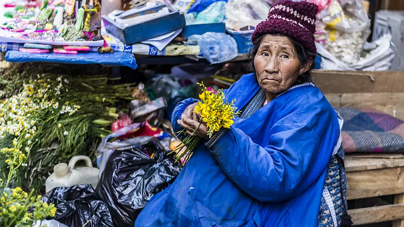 Medicinal plants of the Witches Market