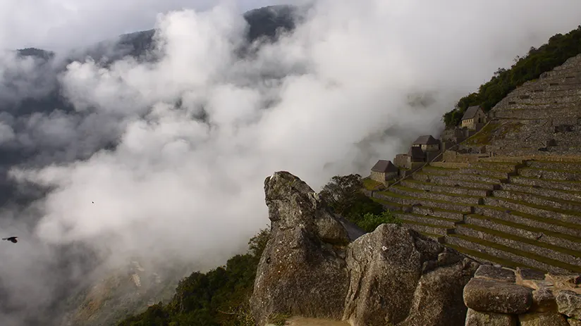 Peruvian shoulder season