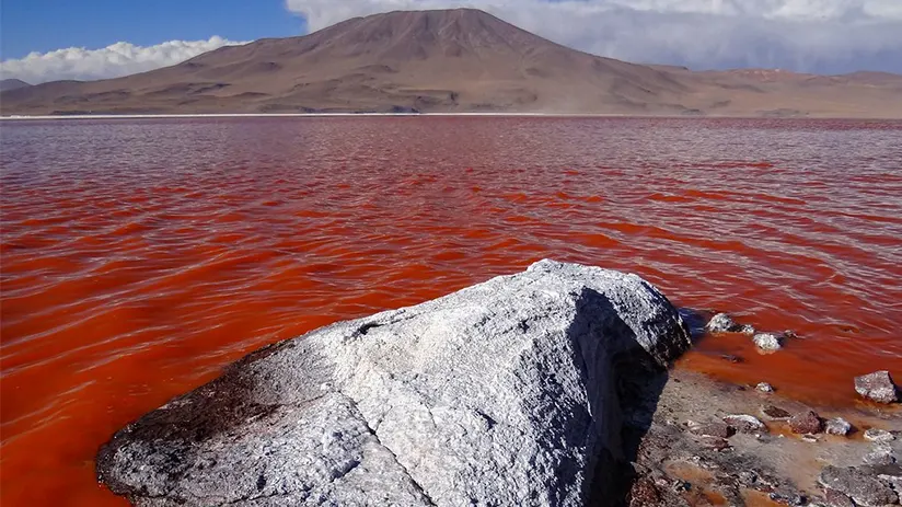 Red color of the Bolivian Lagoon