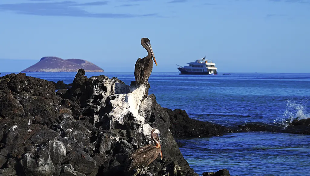 Best time to visit Ecuador