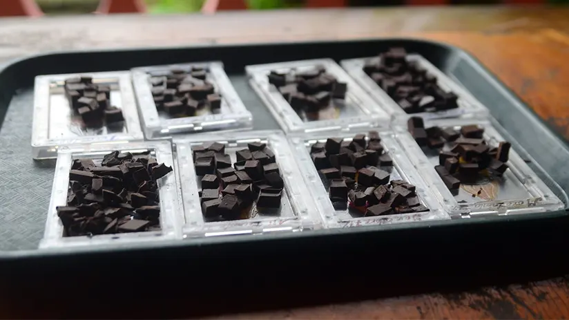 Chocolate of Mindo Cloud Forest