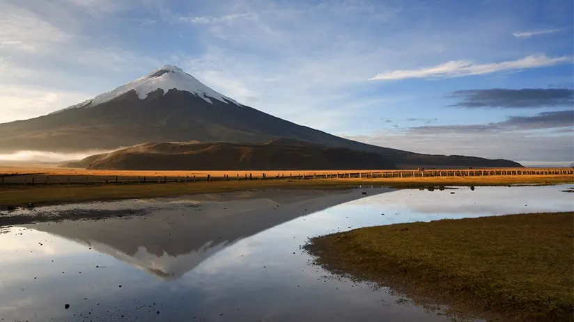 Frequently asked questions