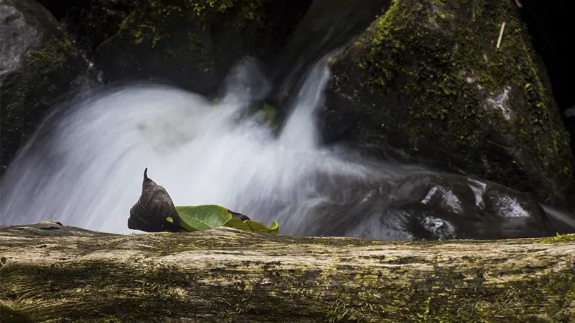Waterfalls in Mindo Cloud Forest