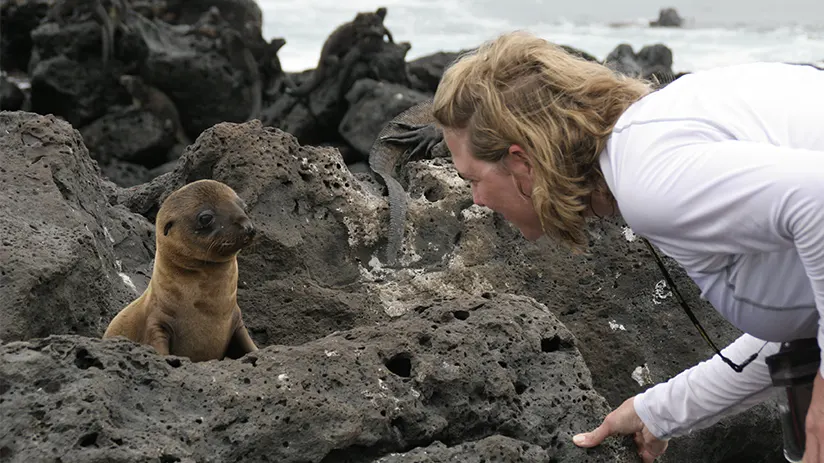Wildlife watching in Ecuador