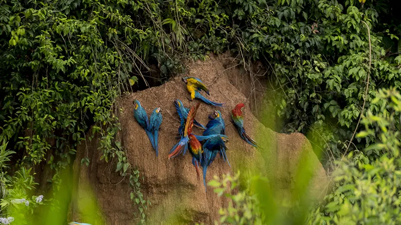 Frequently asked questions