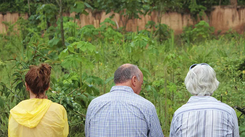 Process to visit Macaw Clay Licks
