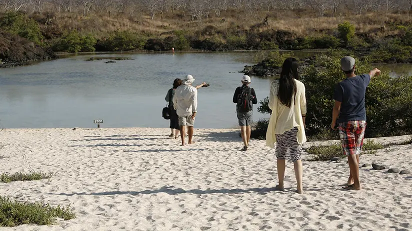 Safety trip on Ecuador