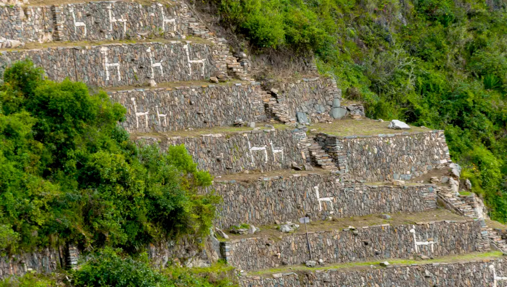 Stone llamas 