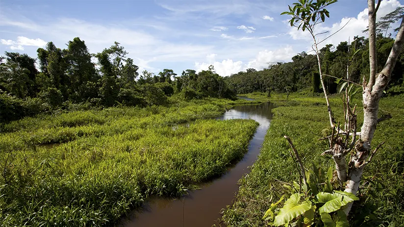 Amazon family destination