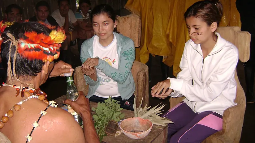 Medicinal plants