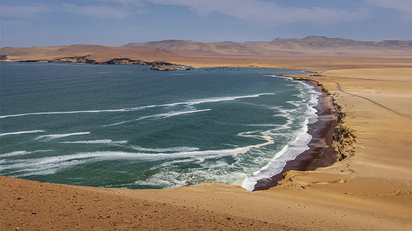 Paracas family destination