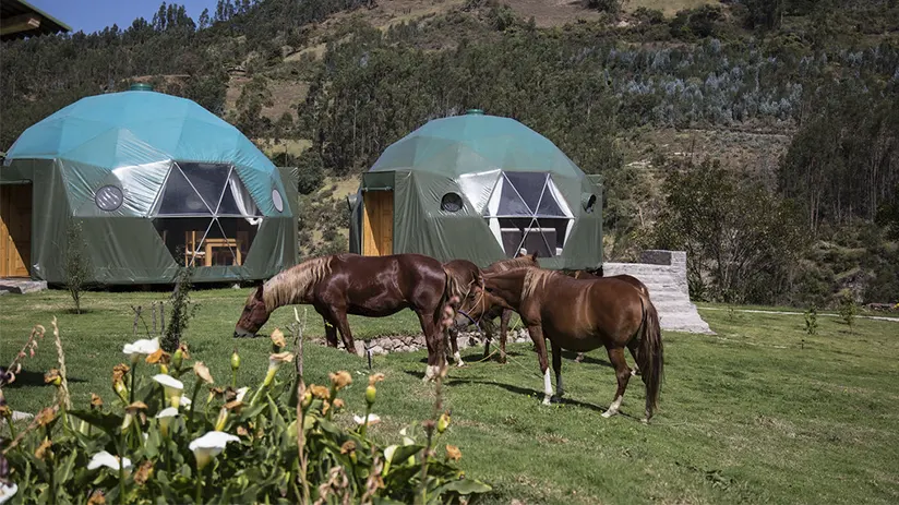 Sustainable glamping experience