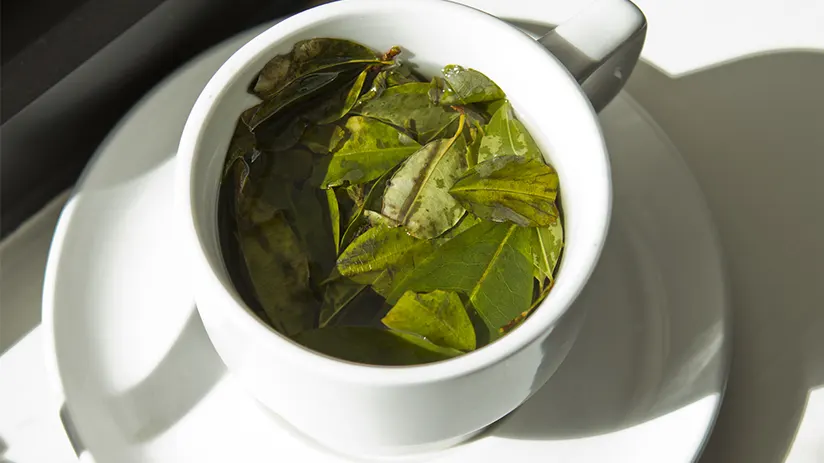 Coca tea