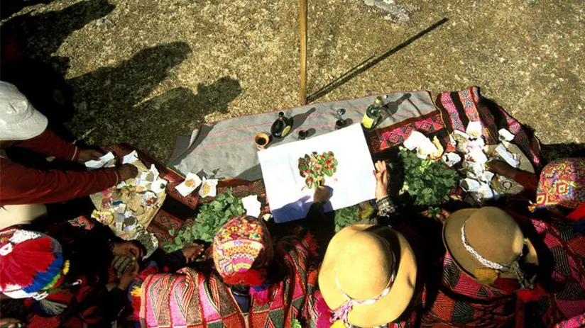 Inca roots