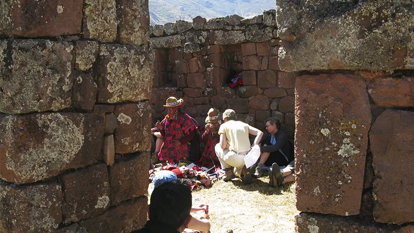 Inca contribution
