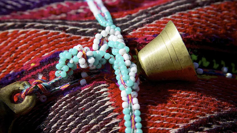 The Andean medicine