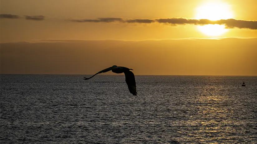 Best time Galapagos