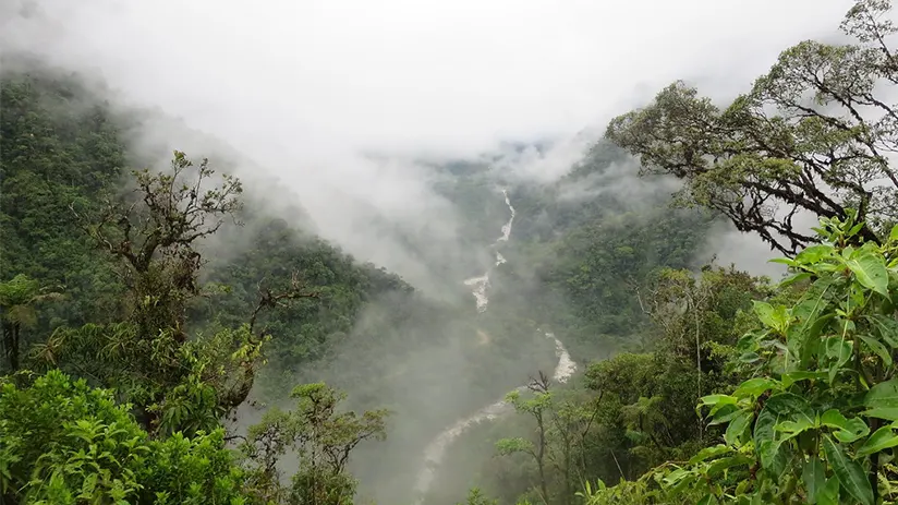 Manu National Park