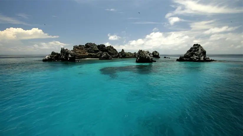 Marine life places Galapagos