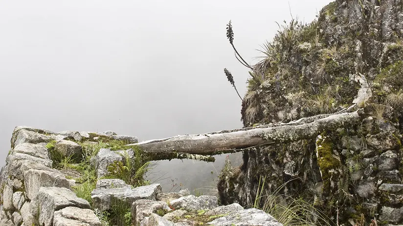 Water distribution Machu Picchu