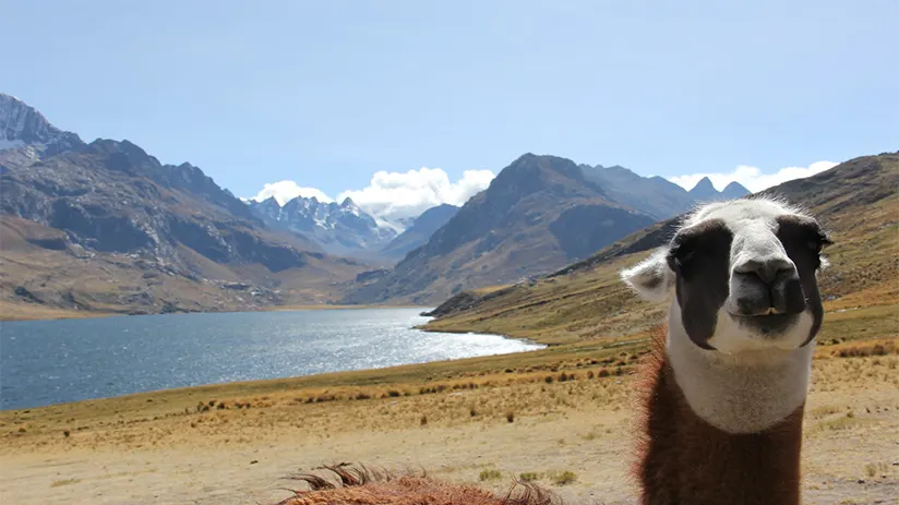 Altitude and Acclimatization