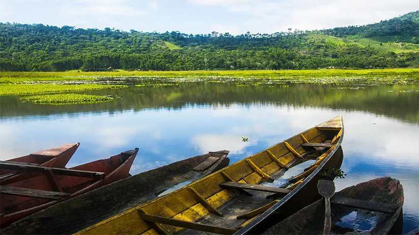 Best Time to Visit Oxapampa