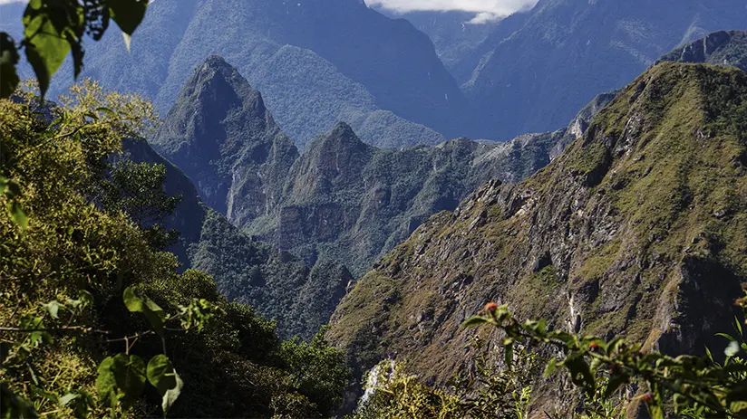Natural surrounding scenary