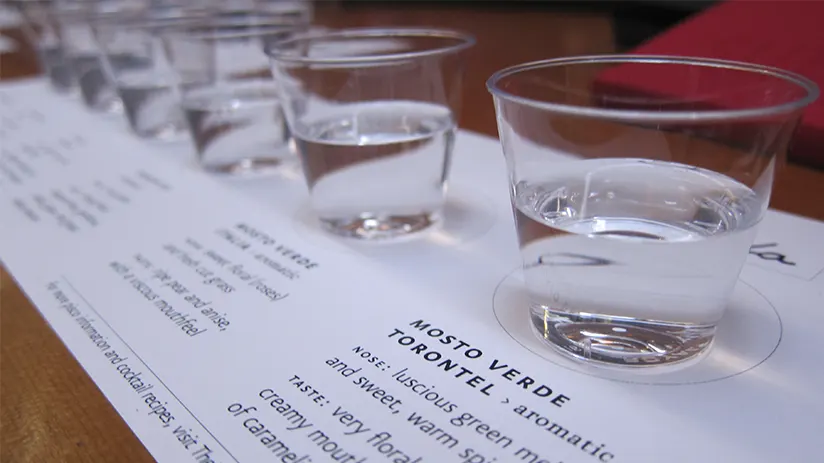 Pisco tasting experience