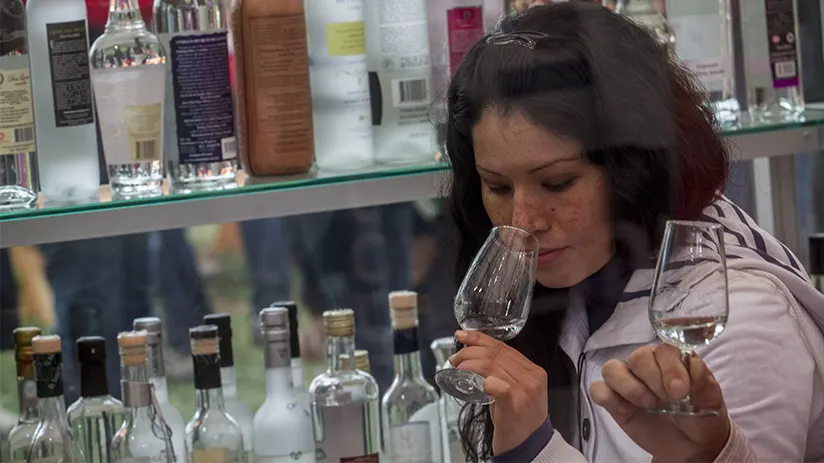 Pisco tasting itinerary