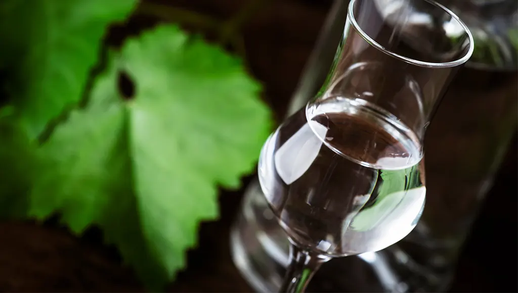 Pisco tasting