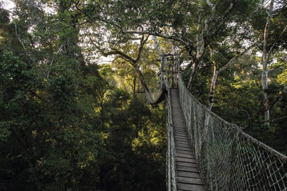 INKATERRA RESERVA AMAZONICA