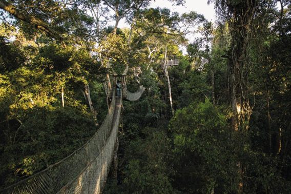 INKATERRA RESERVA AMAZONICA