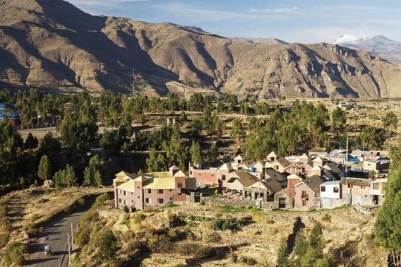 CASA ANDINA STANDARD COLCA