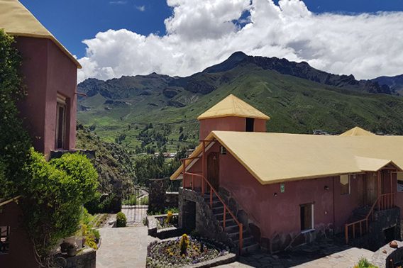 CASA ANDINA STANDARD COLCA