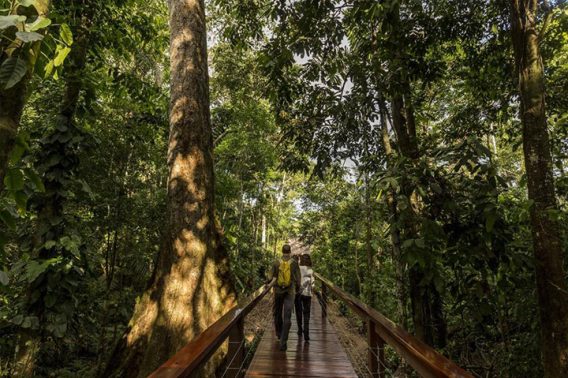 RAINFOREST EXPEDITION TAMBOPATA RESEARCH CENTER